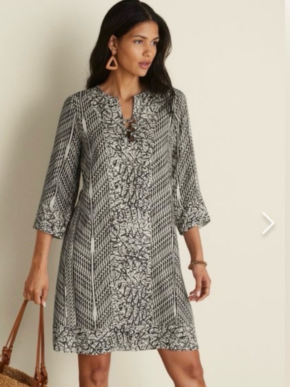 NWT Soft Surroundings Raven Mini Dress, Ikat